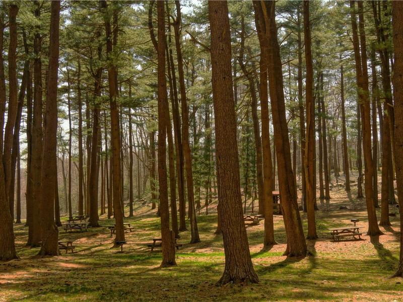 sudoku relaxation mode screenshot 6