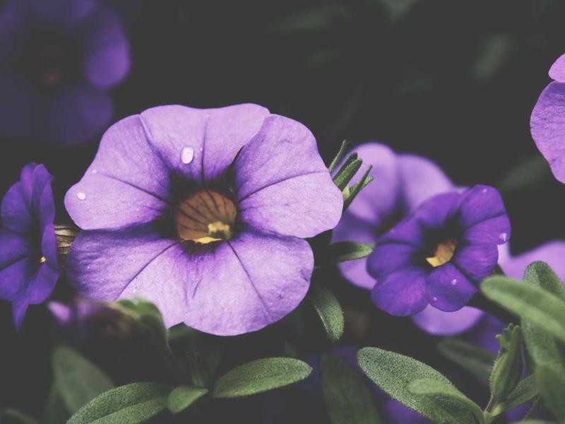 sudoku error checking screenshot 6