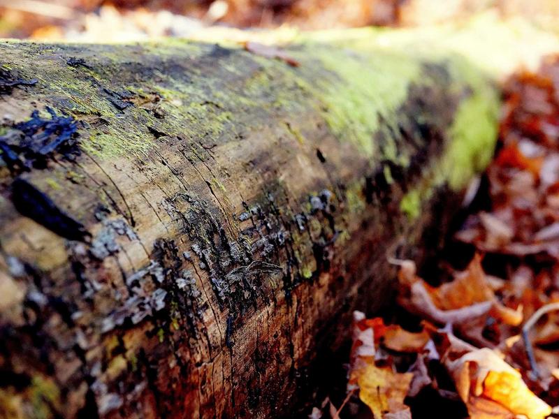 sudoku error checking screenshot 3