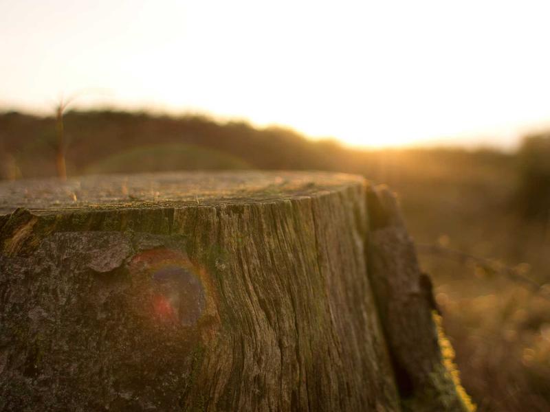 sudoku error checking screenshot 2